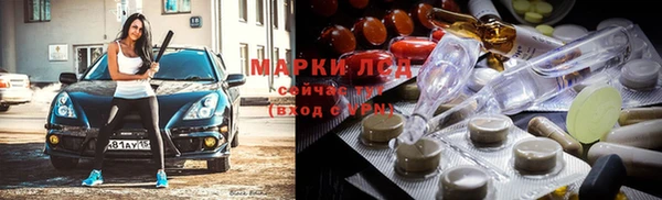ПСИЛОЦИБИНОВЫЕ ГРИБЫ Аркадак