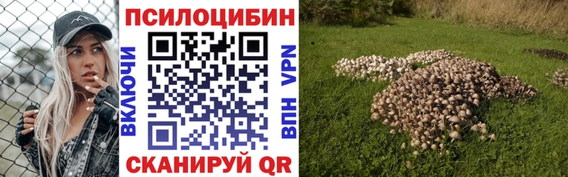 Галлюциногенные грибы прущие грибы Арск